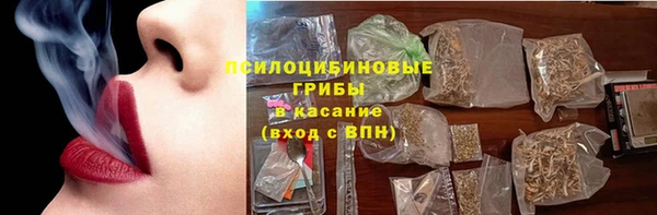 шишки Абаза