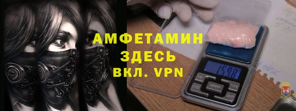 шишки Абаза