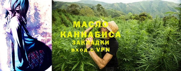 шишки Абаза