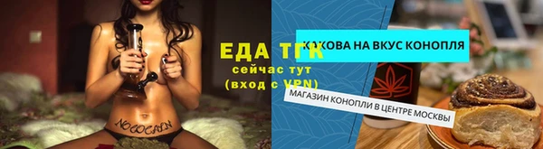 шишки Абаза