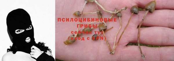 ECSTASY Абинск