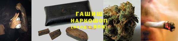шишки Абаза