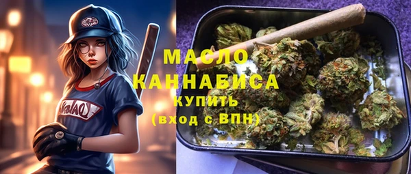 шишки Абаза
