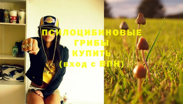 ECSTASY Абинск