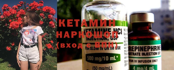 шишки Абаза