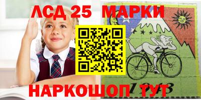 МДПВ Новозыбков