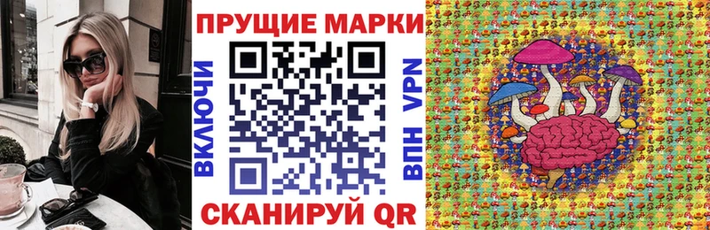 где купить Хасавюрт Марки N-bome 1,8мг
